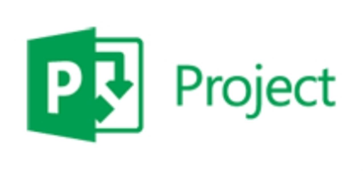 Microsoft Project Professional, Multi, Software Assurance Pack, OVL, Level D Open Value License (OVL) 1 licentie(s) Meertalig 1 jaar