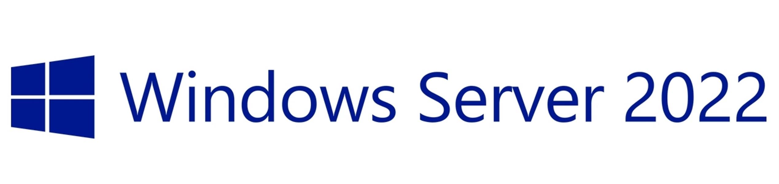 Microsoft Windows Server 2022 Client Access License (CAL)