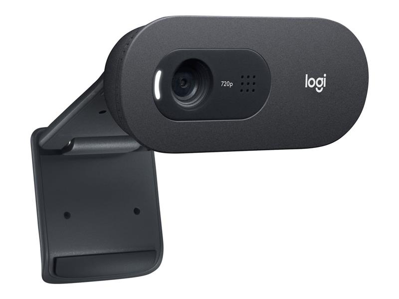 Logitech C505e webcam 1280 x 720 Pixels USB Zwart